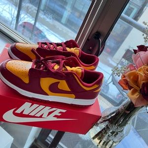 Nike Dunk Low Retro “Midas Gold”